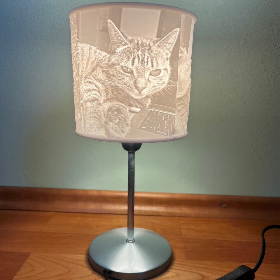 Lithophane Lampe, Lichtbild/Leuchtbild Kundenspezifisch angefertigt (3D Druck)